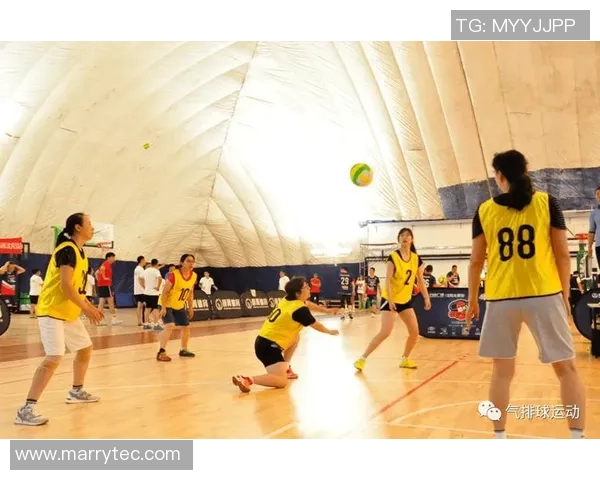 杭州排球队战术解析：从技术细节到团队协作的全面探讨